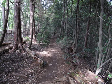 20161014hike (77)